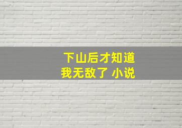 下山后才知道我无敌了 小说